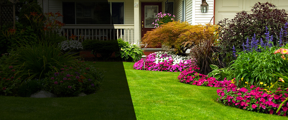 Marlborough Landscapers